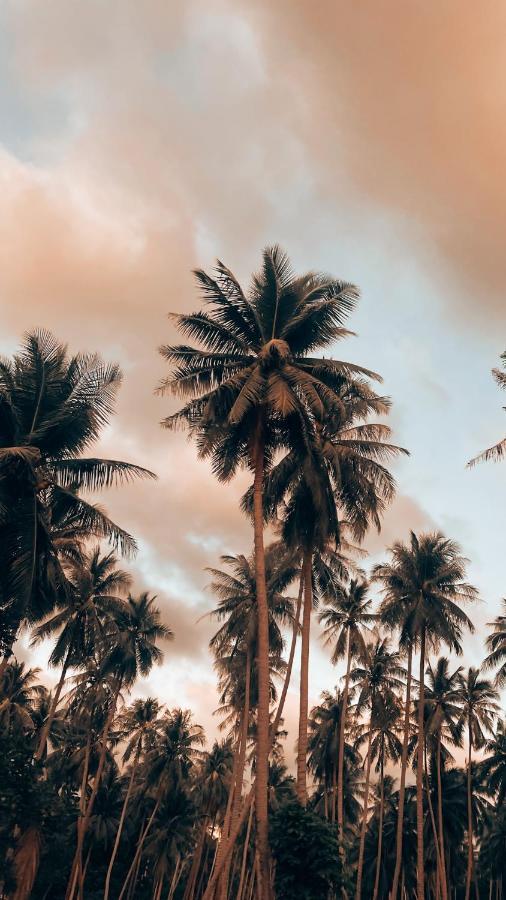 Ocean Vibes Hotel Thong Sala Bagian luar foto